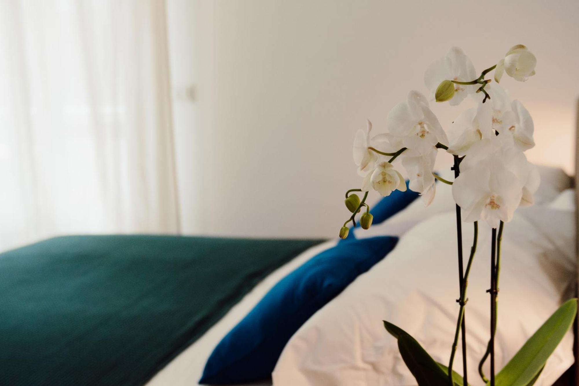 Sweet Dreams Hotell Civitavecchia Eksteriør bilde